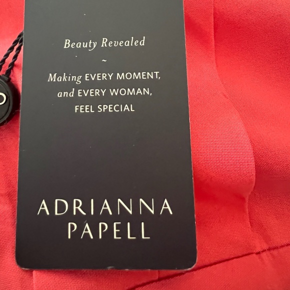 ORGANZA EVENING GOWN NEW WITH TAGS - SIZE 16 - Picture 5 of 5